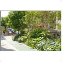 2022-04-27 Radweg,Begruenung Rue Marechal Joffre 15.jpg